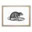 Rat Illustration - Framed Print-55616465-55616466