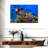 Brampt Royal Angelfish-107850762