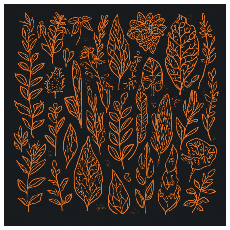 Orange Botanical Illustrations Canvas Gallery Wrap in Many Sizes, 16 x 16 inches