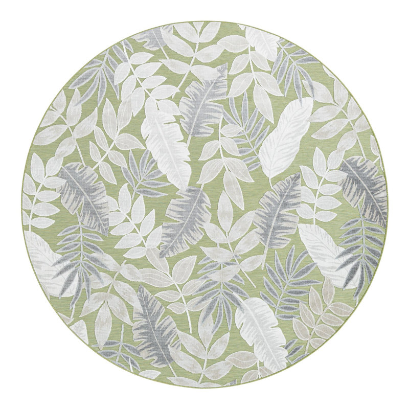 Tapis hygiénique Firman, Rond 8 pi 2 po