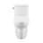Sublime One-Piece Elongated Toilet Dual-Flush 1.1/1.6 gpf-2035471276-2035471279