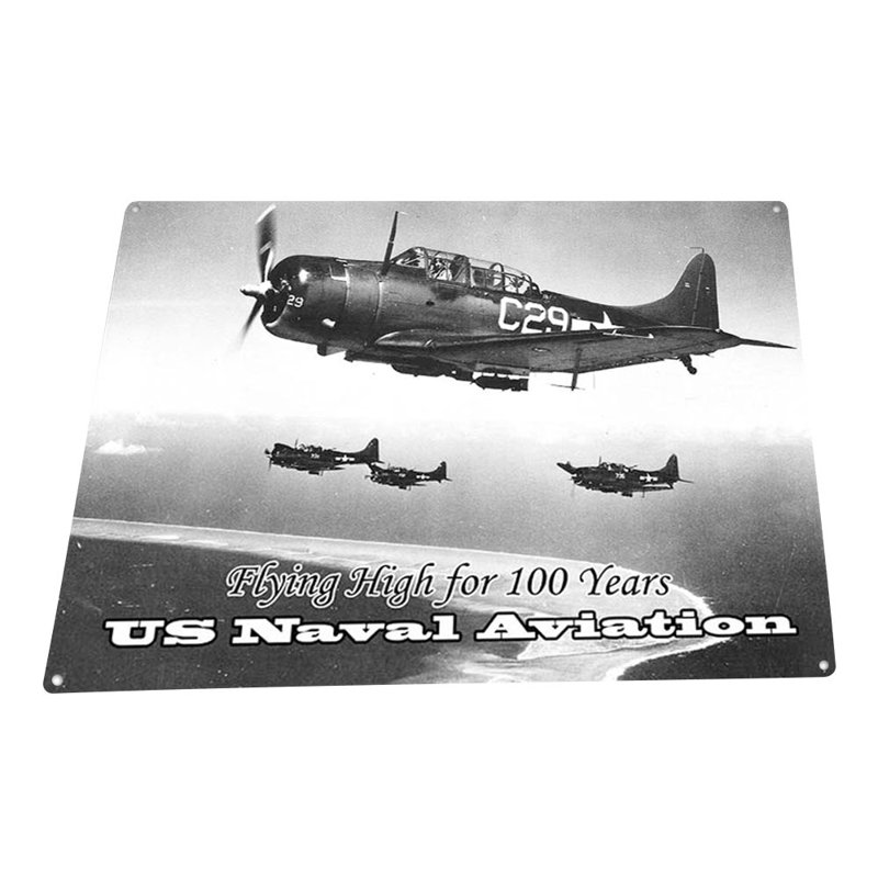 Naval Aviation Flying On Metal Print
