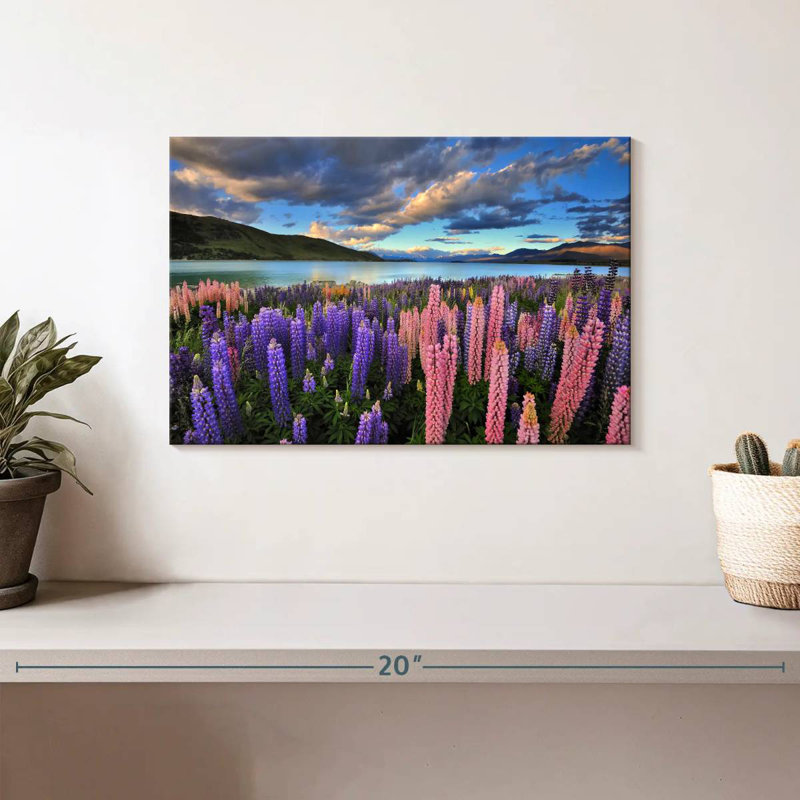 Lupins sur le lac Tekapo, H 8 po x l 12 po