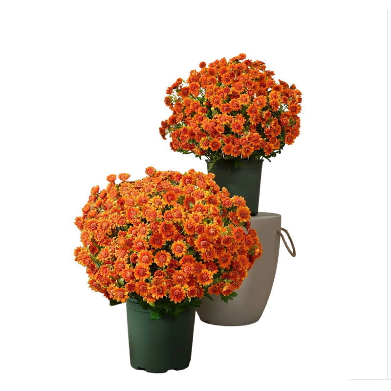 Faux fleurs artificielles pour la maison, A