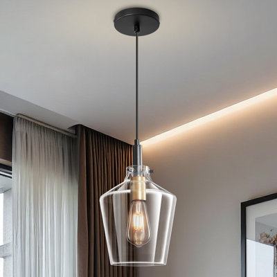 1 - Light Novelty Pendant