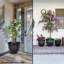 Ensemble de 3 pots à fleurs-1529502407