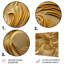 Golden Feathers Serenity IV - Feathersmetal, art mural-1795099343