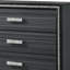 Haiden Weathered Black Finish Chest-1730125213