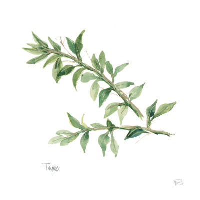 " Thyme V2 " by Chris Paschke Painting Print