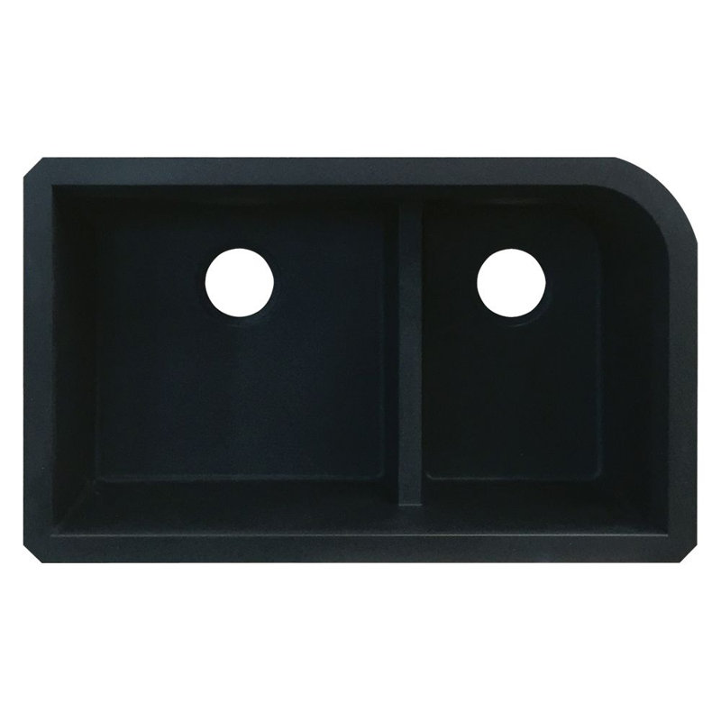 Radius 31.5'' L Double Bowl Kitchen Sink, Black