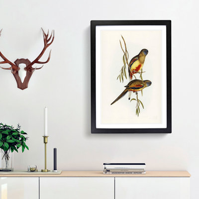 Crimson-Bellied Parakeets by Elizabeth Gould - Picture Frame Painting Print