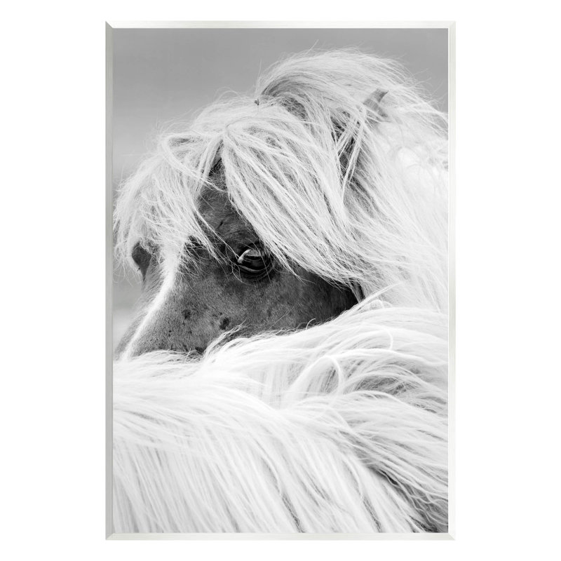 Cheval regardant une crinière soufflée par le vent, art par Danita Delimont, H 15 po x l 10 po x P 0,5 po, Bois