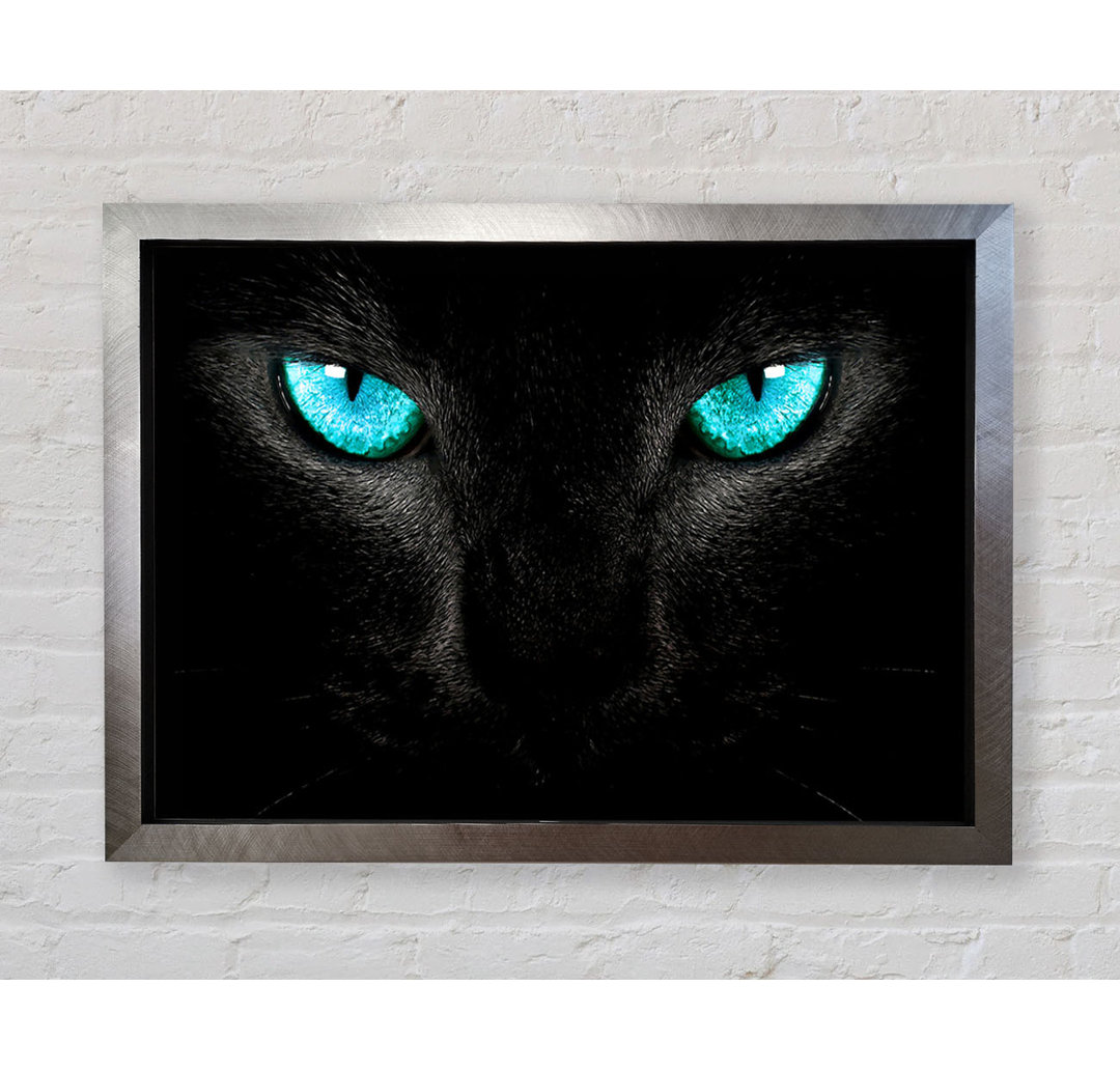 Blue Eyes Cat - Einzelne Bilderrahmen Kunstdrucke