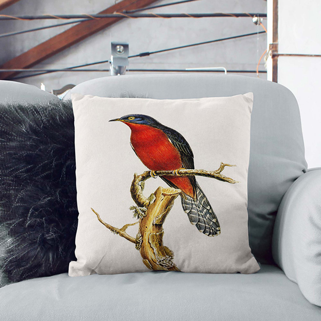 Chestnut-Breasted Cuckoo by Elizabeth Gould Cushion with Filling