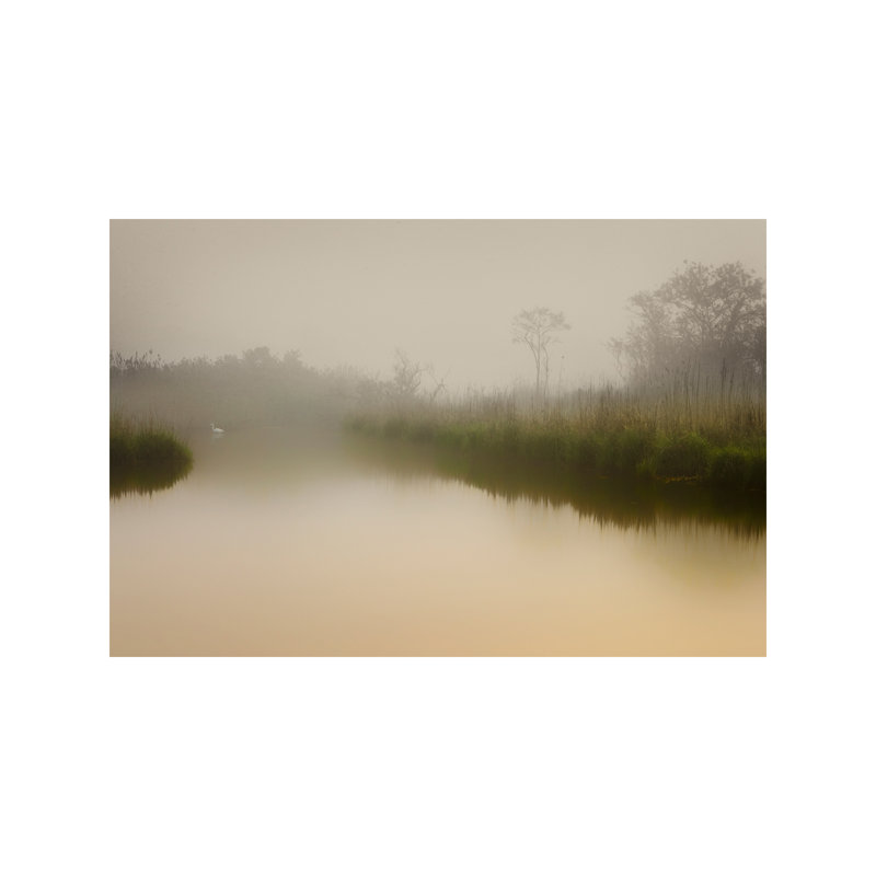 South Meadows by Geoffrey Ansel Agrons - Wrapped Canvas Print, 152.5 cm H x 101.5 cm W