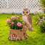 Jardinières hibou, décor rustique d'aspect bois de résine durable pour cour de véranda