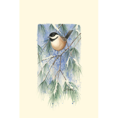 Mésange en pin blanc