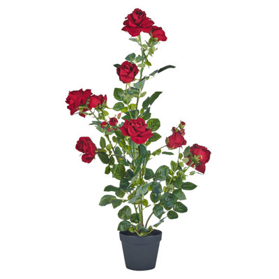 Arrangement