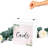 Paper Gift Card Holder