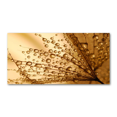 Dandelion Seeds - Wrapped Canvas Print