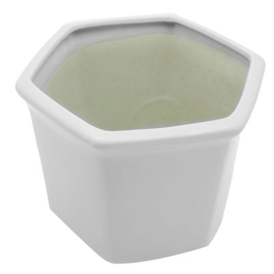 Chinese Porcelain Pot Planter
