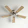 Brandee 42'' Ceiling Fan with Light Kit