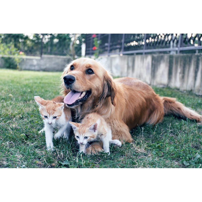 Best Friends par Bluecinema, H 24 po x l 36 po