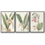 «Soft Tropical I», ensemble de 3 toiles encadrées-97706532-97706528