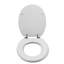 Flexi-Fix Round Hard Toilet Seat-116653007