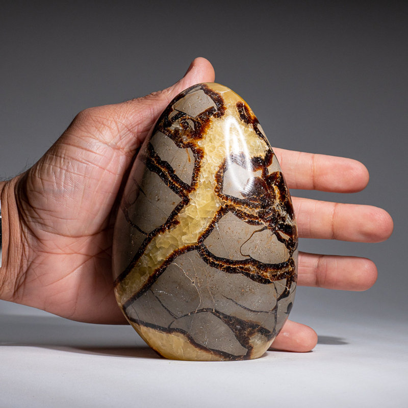 Polished Septarian Freeform from Madagascar (2.3 Lbs), 5" H x 3.5" W x 2" D, Brown/Black/Yellow