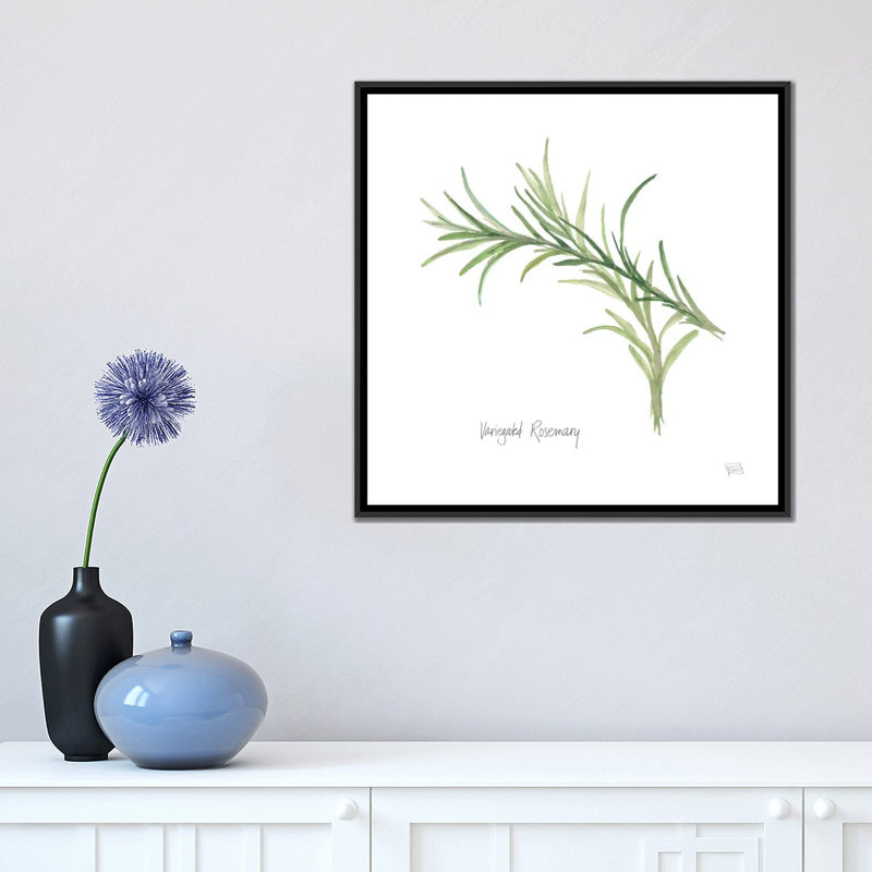 «Variegated Rosemary», reproduction d'art sur toile, H 18 po x l 18 po x P 1,5 po, Toile avec cadre noir, Pas de tapis