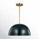 Leona Single Light Metal Dimmable Pendant