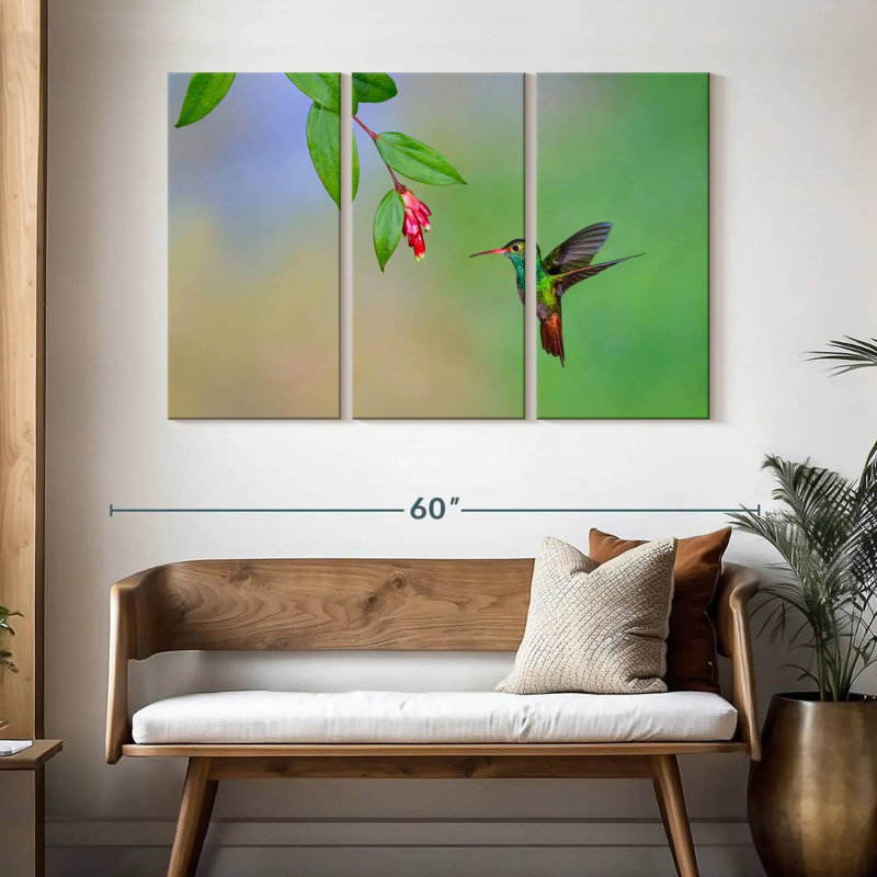 Brampt Rufous Tailed Hummingbird, 32" H x 50" W