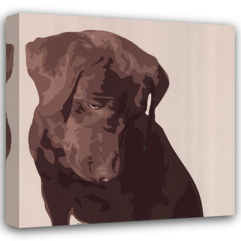 Labrador chocolat, H 20 po x l 20 po