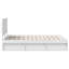 Solid Wood Bed-781924515-781924518