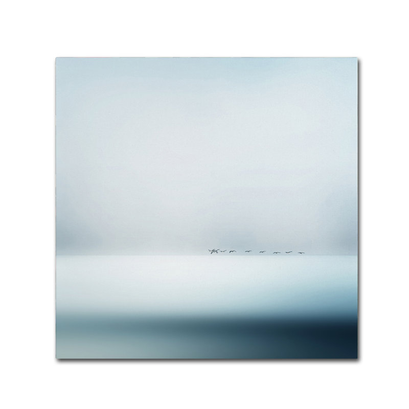 « wild oies », impression sur toile tendue, H 14 po x l 14 po