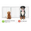 Barrière pour animaux 6 panneaux Cohyn-1354274621