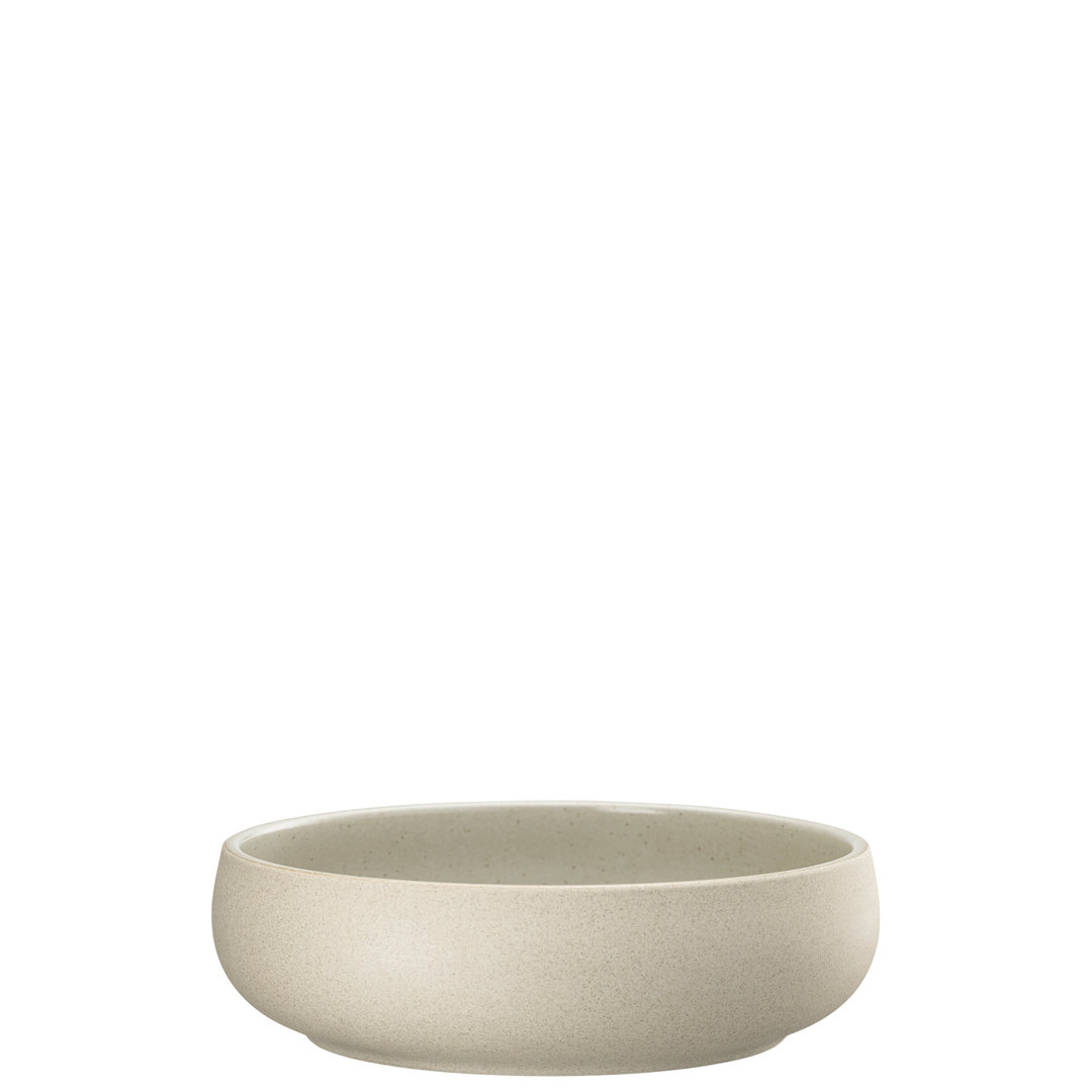 Joyn Stoneware Multi-Bowl 21 cm