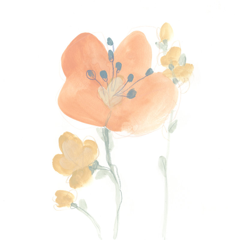 Petite Petals VI by June Erica Vess - Wrapped Canvas Painting, 91cm H x 91cm W