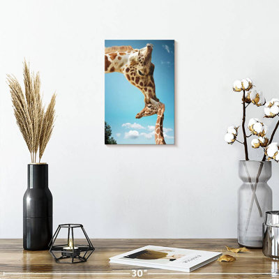 Brampt maman et bébé girafe