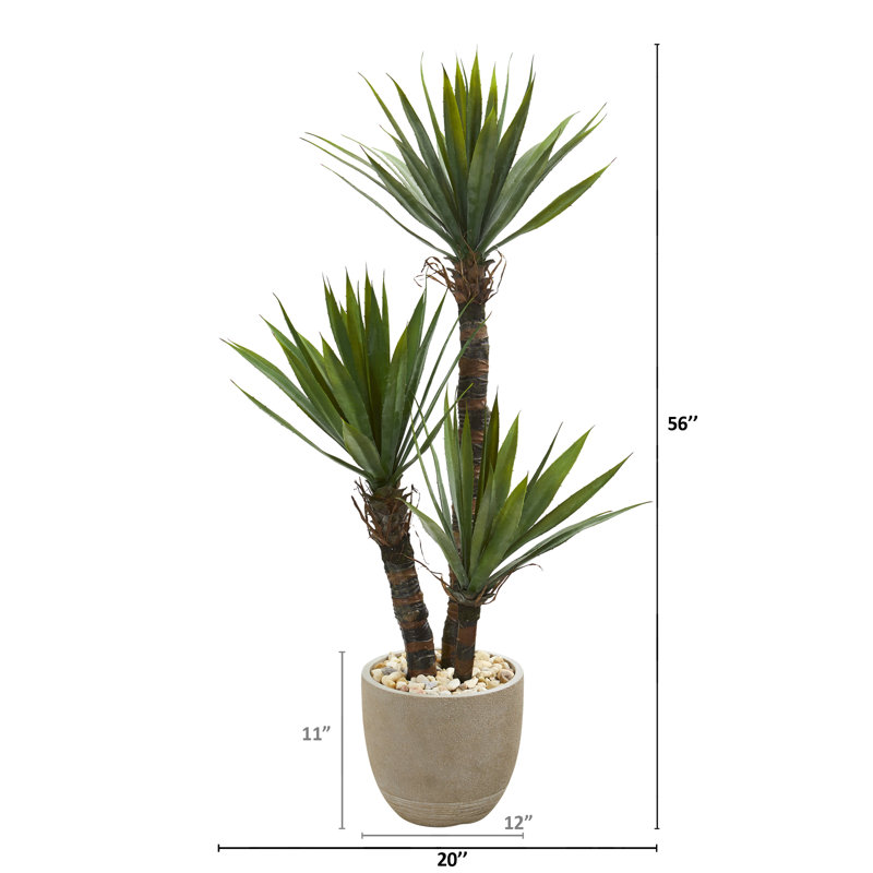 Faux Yucca Tree in Ceramic Planter, 56" H x 20" W x 20" D