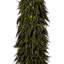 42 plantes