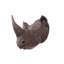 Tête de rhinocéros