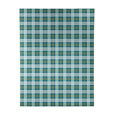 Plaid Teal Area Rug