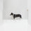 Clear Zig Zag Wall-Mounted Pet Gate
