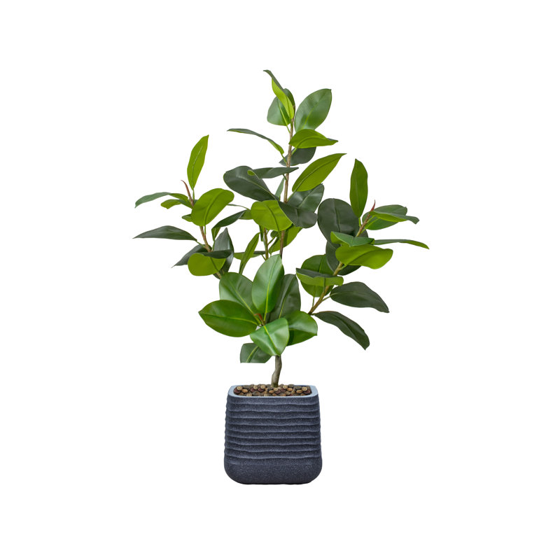 Hévéa artificiel en pot 60,57 ", Noir