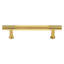 Beliza Knurled Bar Pull-1771246721-1801028275