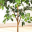 Ficus artificiel 6 pi avec tronc naturel