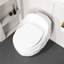 Toilette simple en forme d'œuf blanc brillant de 1,28 po - conception unique avec commodité dans la salle de bain, siège à dégagement rapide, fonction, parfait pour la propreté, eau, hauteur standard pratique et esthétique