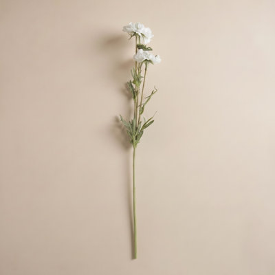 Rimma Chervil Stems